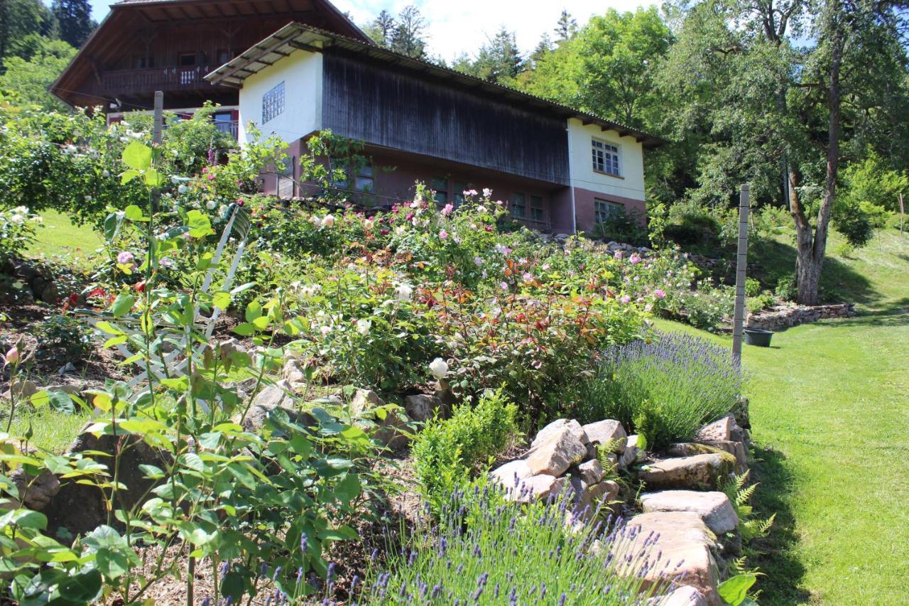 Nordrach The Moosbach Garden 게스트하우스 외부 사진