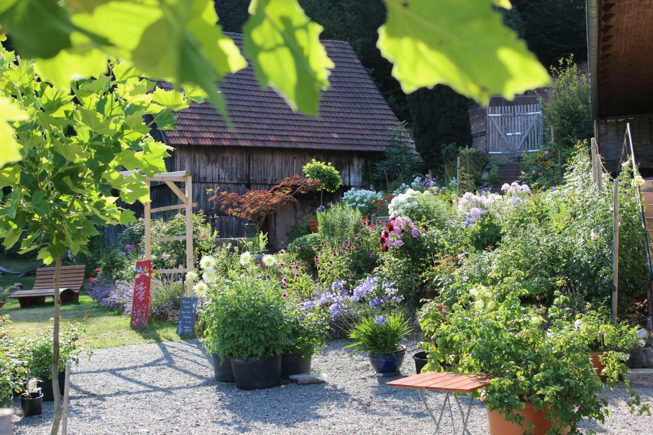 Nordrach The Moosbach Garden 게스트하우스 외부 사진